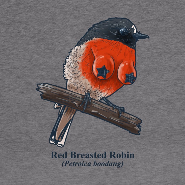 Red Breasted Robin by Harley Warren